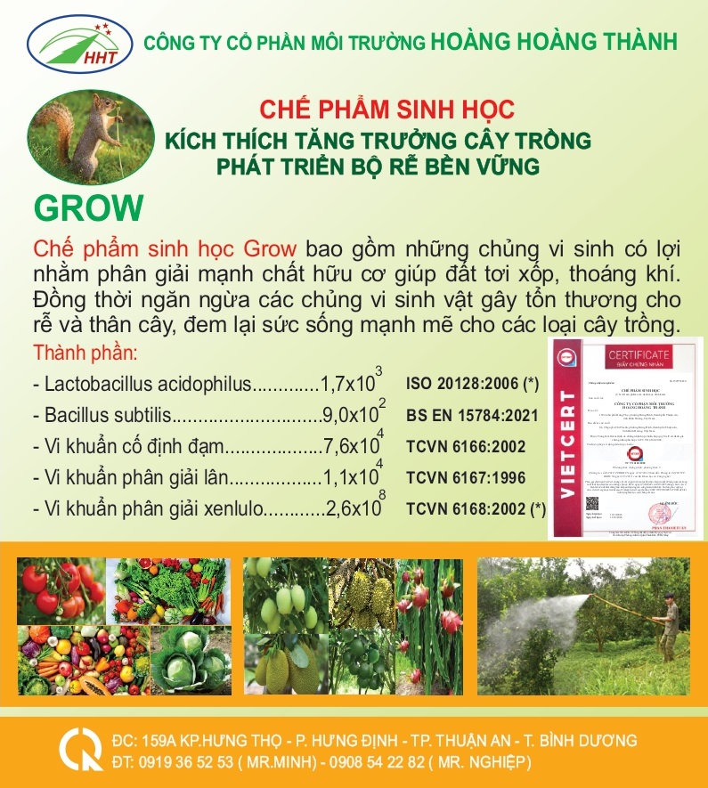 Chế Phẩm Sinh Học Phát Triển Bộ Rễ Bền Vững 1L 1